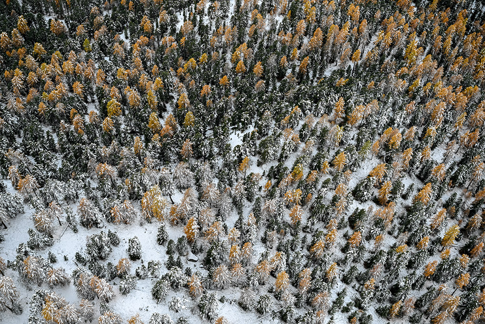 engadin laerchen herbst winter schnee luftaufnahme marcorubin_pix photoworks