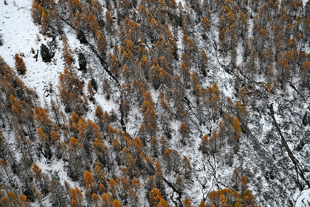 008-engadin-laerchen-herbst-winter-schnee-luftbild-marcorubin-engiadina365-photoworks