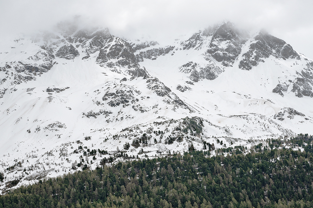 021-engadin-stmoritz-cotschna-marcorubin-engiadina365-photoworks