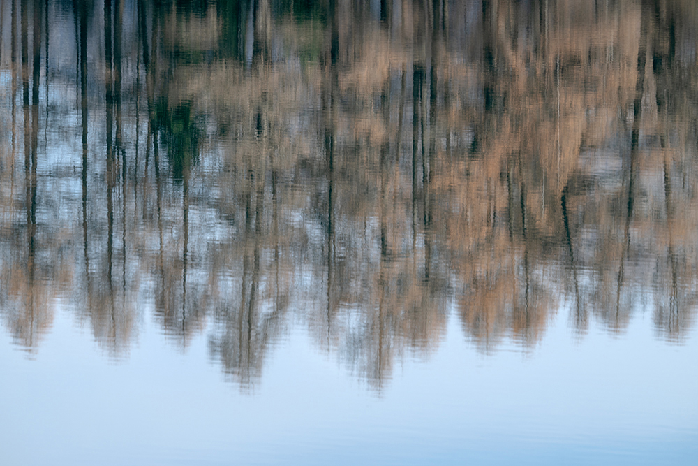 022-engadin-lejsuot-see-laerchen-marcorubin-engiadina365-photoworks