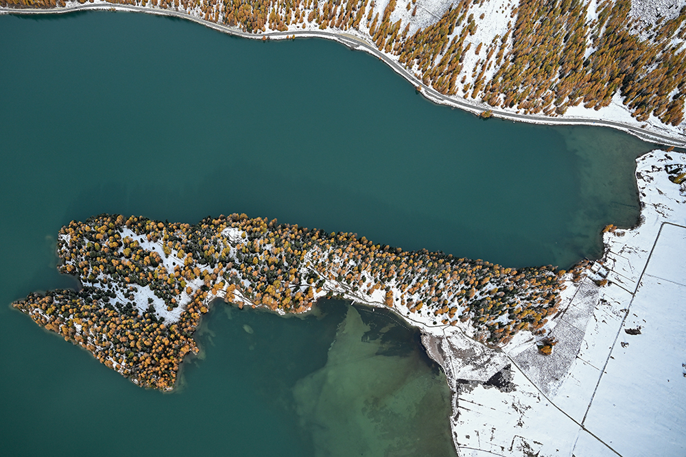030-engadin-sils-silsersee-chaste-herbst-winter-luftbild-marcorubin-engiadina365-photoworks